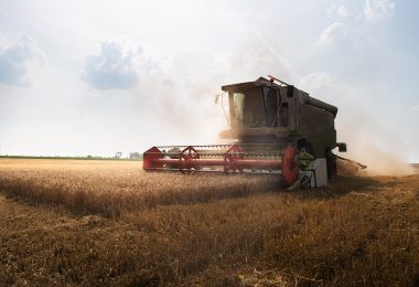 Agriculture & Farming